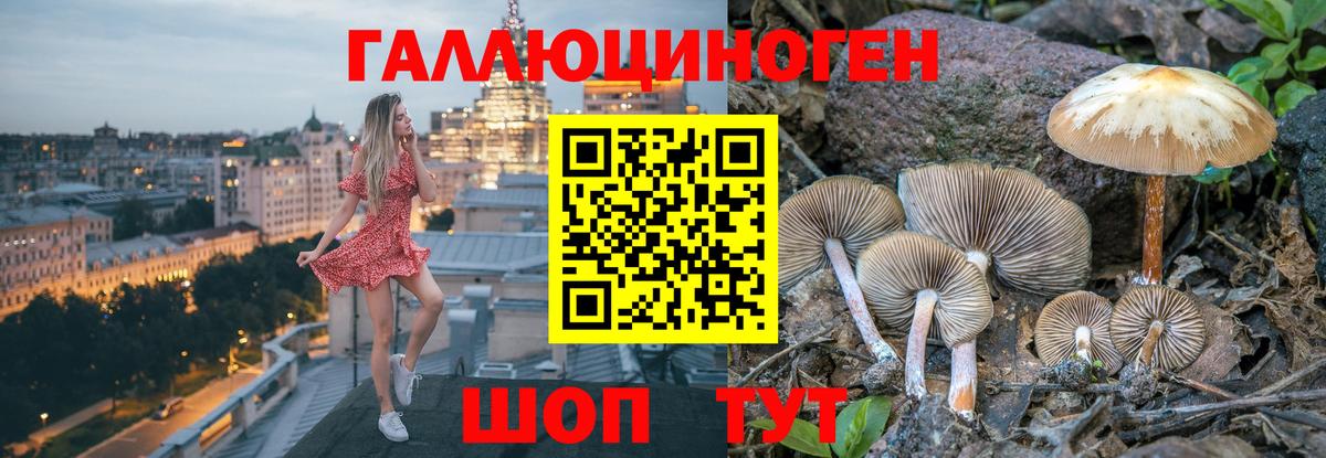 Псилоцибиновые грибы мицелий Великий Устюг