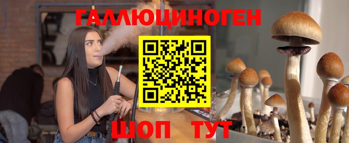 Великий Устюг  Псилоцибиновые грибы Psilocybine cubensis  Вход с VPN 